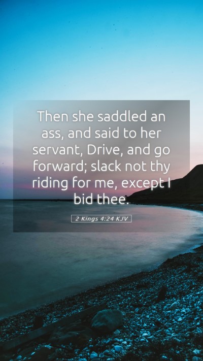 Picture 05 - 2 Kings 4:24 KJV Mobile Phone Wallpaper - Then she saddled an ass, and said to her servant, - Mobile Bible Verse Wallpaper