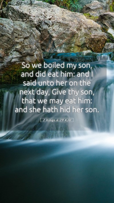 Picture 05 - 2 Kings 6:29 KJV Mobile Phone Wallpaper - So we boiled my son, and did eat him: and I said - Mobile Bible Verse Wallpaper