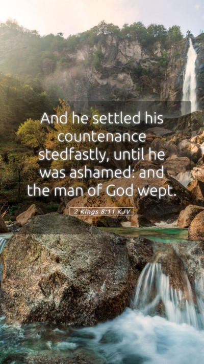 Picture 05 - 2 Kings 8:11 KJV Mobile Phone Wallpaper - And he settled his countenance stedfastly, until - Mobile Bible Verse Wallpaper