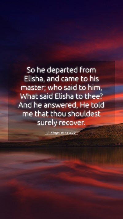 Picture 05 - 2 Kings 8:14 KJV Mobile Phone Wallpaper - So he departed from Elisha, and came to his - Mobile Bible Verse Wallpaper