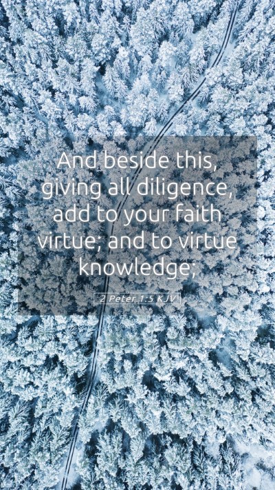 Picture 05 - 2 Peter 1:5 KJV Mobile Phone Wallpaper - And beside this, giving all diligence, add to - Mobile Bible Verse Wallpaper