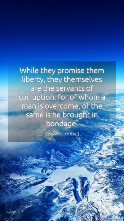 Picture 05 - 2 Peter 2:19 KJV Mobile Phone Wallpaper - While they promise them liberty, they themselves - Mobile Bible Verse Wallpaper
