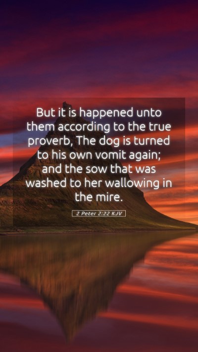Picture 05 - 2 Peter 2:22 KJV Mobile Phone Wallpaper - But it is happened unto them according to the - Mobile Bible Verse Wallpaper