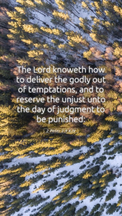 Picture 05 - 2 Peter 2:9 KJV Mobile Phone Wallpaper - The Lord knoweth how to deliver the godly out of - Mobile Bible Verse Wallpaper