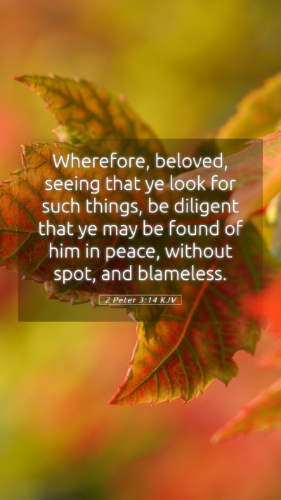 Picture 05 - 2 Peter 3:14 KJV Mobile Phone Wallpaper - Wherefore, beloved, seeing that ye look for such - Mobile Bible Verse Wallpaper