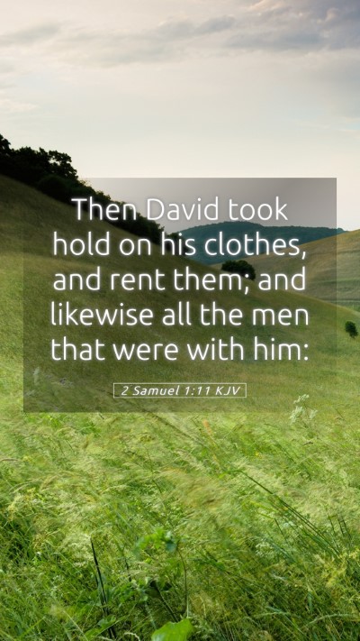 Picture 05 - 2 Samuel 1:11 KJV Mobile Phone Wallpaper - Then David took hold on his clothes, and rent - Mobile Bible Verse Wallpaper