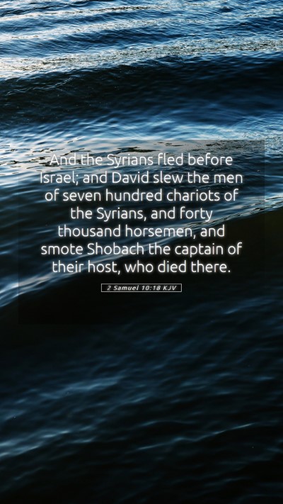 Picture 05 - 2 Samuel 10:18 KJV Mobile Phone Wallpaper - And the Syrians fled before Israel; and David - Mobile Bible Verse Wallpaper