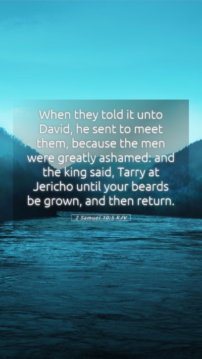 Picture 05 - 2 Samuel 10:5 KJV Mobile Phone Wallpaper - When they told it unto David, he sent to meet - Mobile Bible Verse Wallpaper