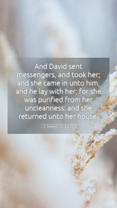 Picture 05 - 2 Samuel 11:4 KJV Mobile Phone Wallpaper - And David sent messengers, and took her; and she - Mobile Bible Verse Wallpaper