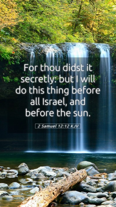 Picture 05 - 2 Samuel 12:12 KJV Mobile Phone Wallpaper - For thou didst it secretly: but I will do this - Mobile Bible Verse Wallpaper