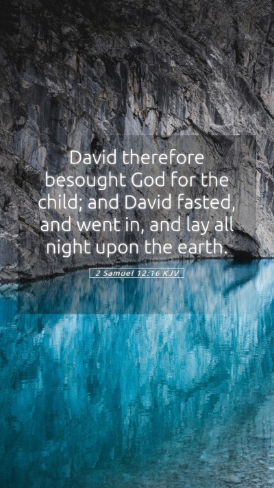 Picture 05 - 2 Samuel 12:16 KJV Mobile Phone Wallpaper - David therefore besought God for the child; and - Mobile Bible Verse Wallpaper