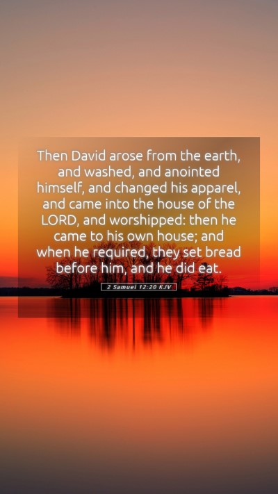 Picture 05 - 2 Samuel 12:20 KJV Mobile Phone Wallpaper - Then David arose from the earth, and washed, and - Mobile Bible Verse Wallpaper