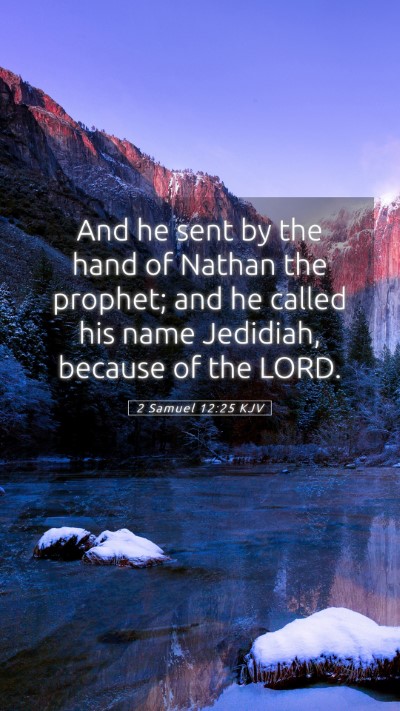 Picture 05 - 2 Samuel 12:25 KJV Mobile Phone Wallpaper - And he sent by the hand of Nathan the prophet; - Mobile Bible Verse Wallpaper