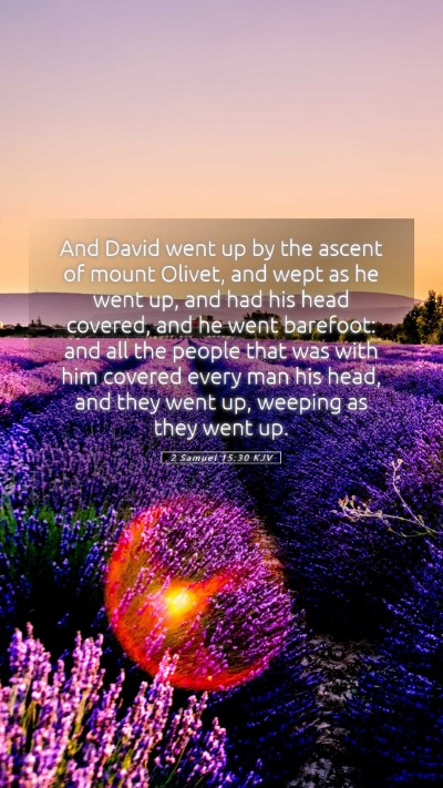 Picture 05 - 2 Samuel 15:30 KJV Mobile Phone Wallpaper - And David went up by the ascent of mount Olivet, - Mobile Bible Verse Wallpaper