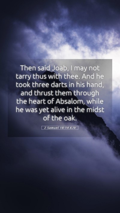 Picture 05 - 2 Samuel 18:14 KJV Mobile Phone Wallpaper - Then said Joab, I may not tarry thus with thee. - Mobile Bible Verse Wallpaper