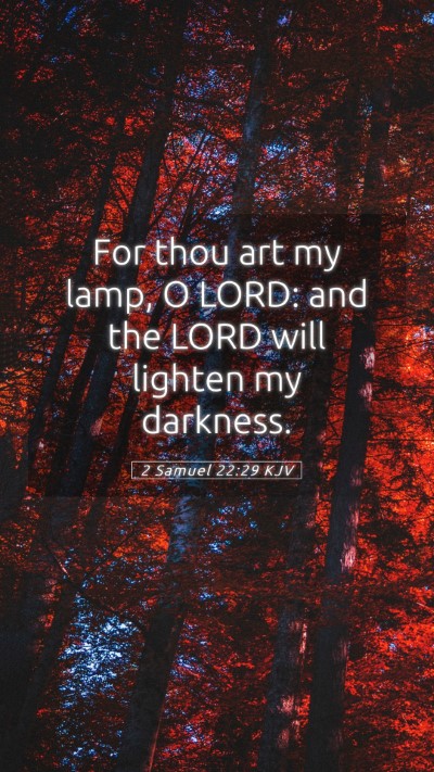 Picture 05 - 2 Samuel 22:29 KJV Mobile Phone Wallpaper - For thou art my lamp, O LORD: and the LORD will - Mobile Bible Verse Wallpaper