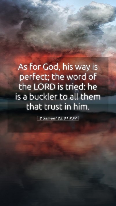 Picture 05 - 2 Samuel 22:31 KJV Mobile Phone Wallpaper - As for God, his way is perfect; the word of the - Mobile Bible Verse Wallpaper