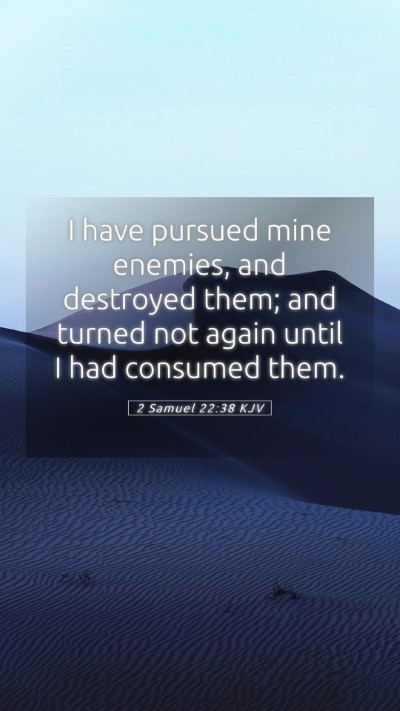 Picture 05 - 2 Samuel 22:38 KJV Mobile Phone Wallpaper - I have pursued mine enemies, and destroyed them; - Mobile Bible Verse Wallpaper