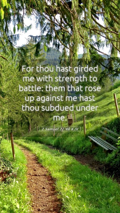 Picture 05 - 2 Samuel 22:40 KJV Mobile Phone Wallpaper - For thou hast girded me with strength to battle: - Mobile Bible Verse Wallpaper