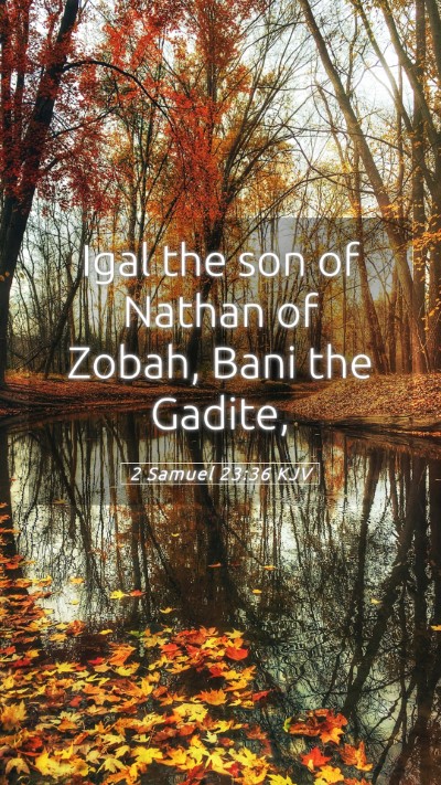 Picture 05 - 2 Samuel 23:36 KJV Mobile Phone Wallpaper - Igal the son of Nathan of Zobah, Bani the - Mobile Bible Verse Wallpaper