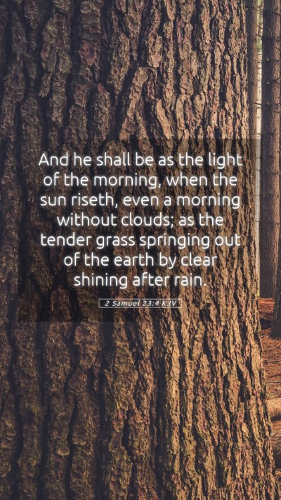 Picture 05 - 2 Samuel 23:4 KJV Mobile Phone Wallpaper - And he shall be as the light of the morning, when - Mobile Bible Verse Wallpaper