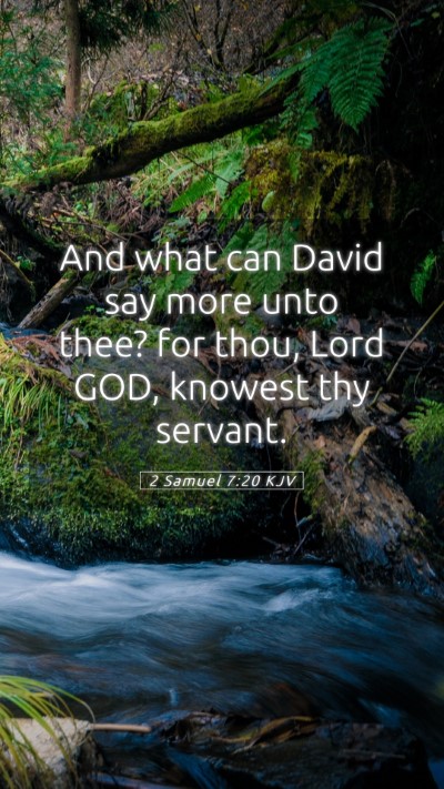 Picture 05 - 2 Samuel 7:20 KJV Mobile Phone Wallpaper - And what can David say more unto thee? for thou, - Mobile Bible Verse Wallpaper