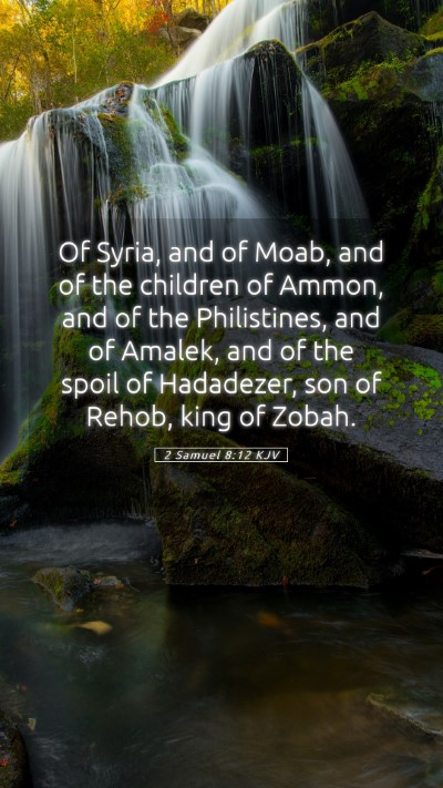 Picture 05 - 2 Samuel 8:12 KJV Mobile Phone Wallpaper - Of Syria, and of Moab, and of the children of - Mobile Bible Verse Wallpaper