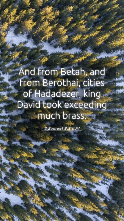 Picture 05 - 2 Samuel 8:8 KJV Mobile Phone Wallpaper - And from Betah, and from Berothai, cities of - Mobile Bible Verse Wallpaper