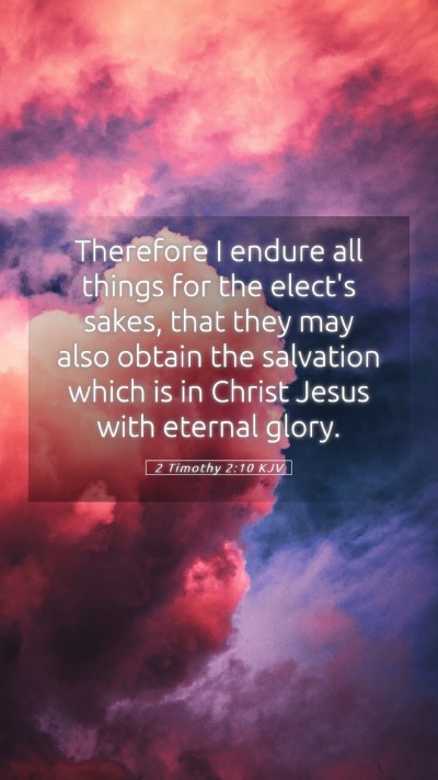 Picture 05 - 2 Timothy 2:10 KJV Mobile Phone Wallpaper - Therefore I endure all things for the elect's - Mobile Bible Verse Wallpaper