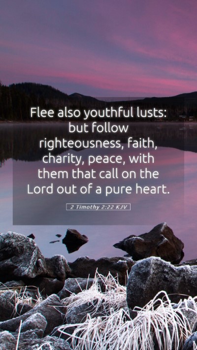 Picture 05 - 2 Timothy 2:22 KJV Mobile Phone Wallpaper - Flee also youthful lusts: but follow - Mobile Bible Verse Wallpaper