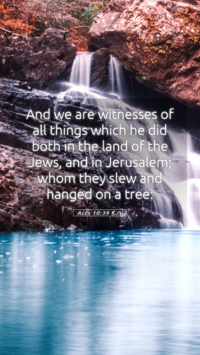 Picture 05 - Acts 10:39 KJV Mobile Phone Wallpaper - And we are witnesses of all things which he did - Mobile Bible Verse Wallpaper
