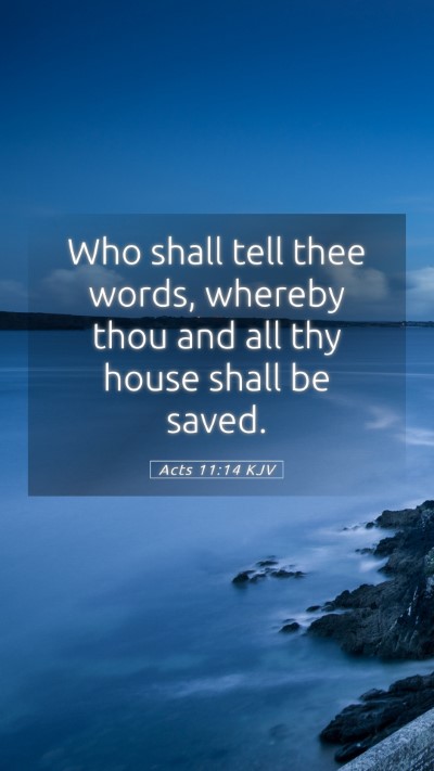 Picture 05 - Acts 11:14 KJV Mobile Phone Wallpaper - Who shall tell thee words, whereby thou and all - Mobile Bible Verse Wallpaper