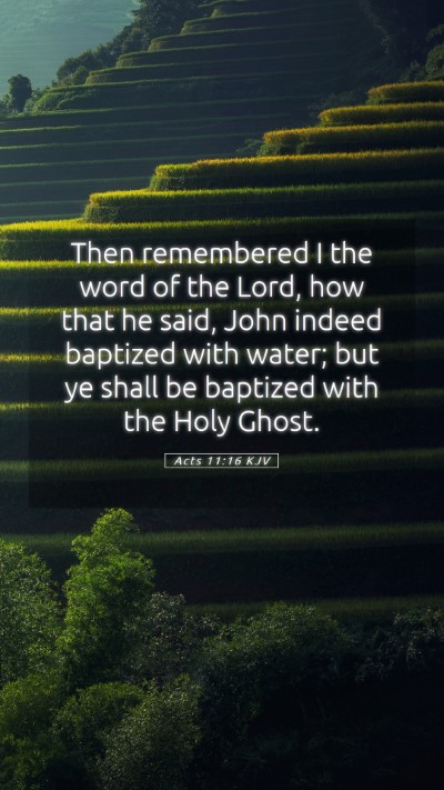 Picture 05 - Acts 11:16 KJV Mobile Phone Wallpaper - Then remembered I the word of the Lord, how that - Mobile Bible Verse Wallpaper