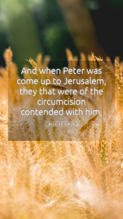 Picture 05 - Acts 11:2 KJV Mobile Phone Wallpaper - And when Peter was come up to Jerusalem, they - Mobile Bible Verse Wallpaper
