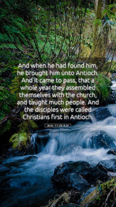 Picture 05 - Acts 11:26 KJV Mobile Phone Wallpaper - And when he had found him, he brought him unto - Mobile Bible Verse Wallpaper