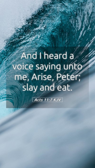 Picture 05 - Acts 11:7 KJV Mobile Phone Wallpaper - And I heard a voice saying unto me, Arise, Peter; - Mobile Bible Verse Wallpaper