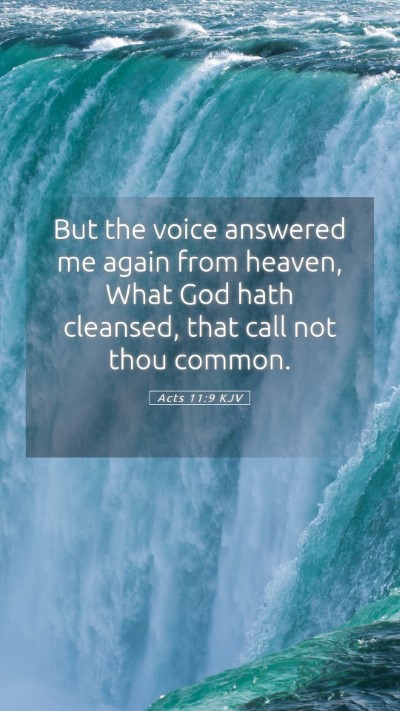 Picture 05 - Acts 11:9 KJV Mobile Phone Wallpaper - But the voice answered me again from heaven, What - Mobile Bible Verse Wallpaper