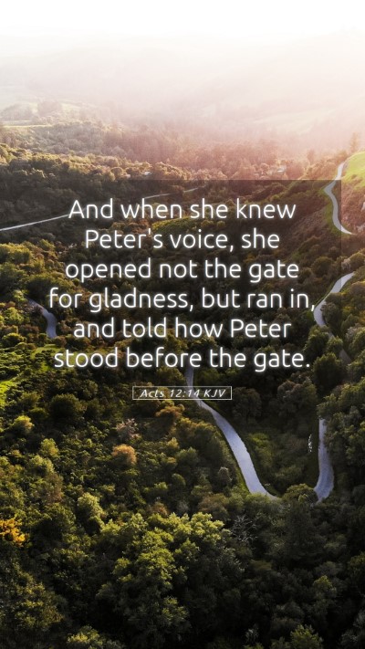 Picture 05 - Acts 12:14 KJV Mobile Phone Wallpaper - And when she knew Peter's voice, she opened not - Mobile Bible Verse Wallpaper