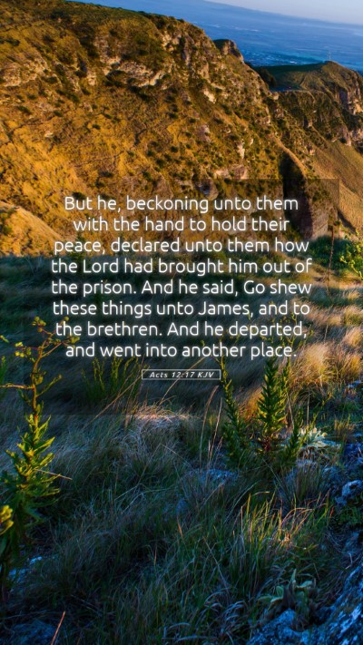 Picture 05 - Acts 12:17 KJV Mobile Phone Wallpaper - But he, beckoning unto them with the hand to hold - Mobile Bible Verse Wallpaper