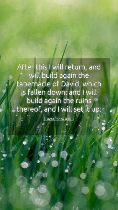 Picture 05 - Acts 15:16 KJV Mobile Phone Wallpaper - After this I will return, and will build again - Mobile Bible Verse Wallpaper