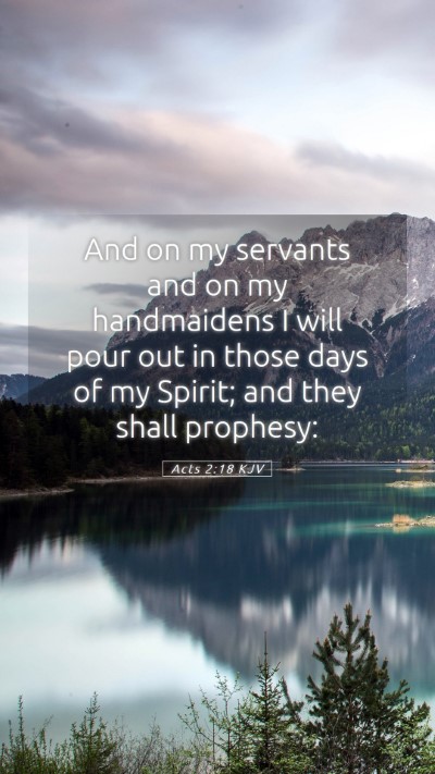 Picture 05 - Acts 2:18 KJV Mobile Phone Wallpaper - And on my servants and on my handmaidens I will - Mobile Bible Verse Wallpaper