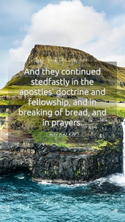 Picture 05 - Acts 2:42 KJV Mobile Phone Wallpaper - And they continued stedfastly in the apostles' - Mobile Bible Verse Wallpaper