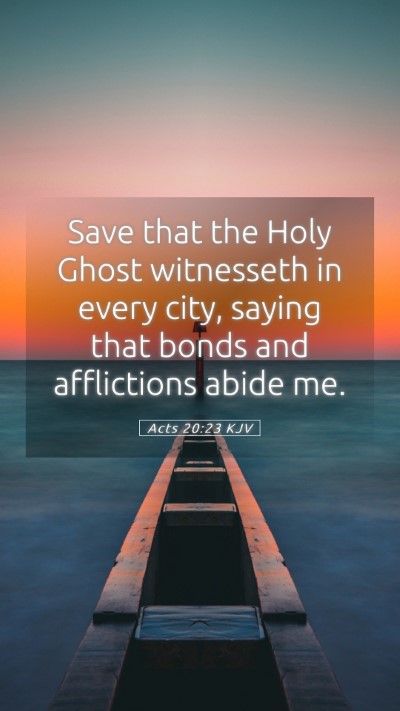 Picture 05 - Acts 20:23 KJV Mobile Phone Wallpaper - Save that the Holy Ghost witnesseth in every - Mobile Bible Verse Wallpaper