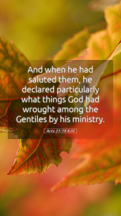 Picture 05 - Acts 21:19 KJV Mobile Phone Wallpaper - And when he had saluted them, he declared - Mobile Bible Verse Wallpaper