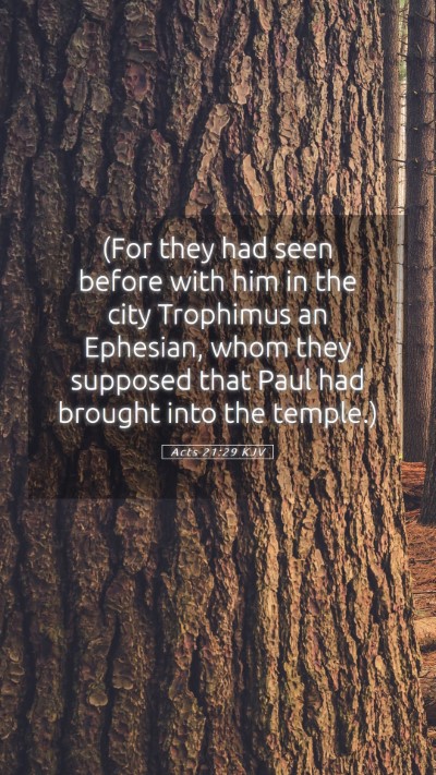 Picture 05 - Acts 21:29 KJV Mobile Phone Wallpaper - (For they had seen before with him in the city - Mobile Bible Verse Wallpaper