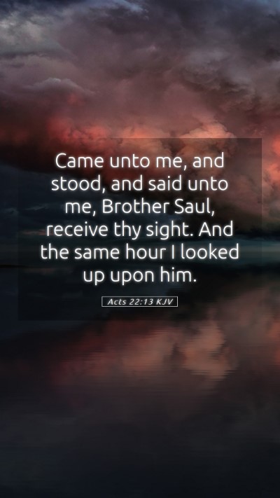 Picture 05 - Acts 22:13 KJV Mobile Phone Wallpaper - Came unto me, and stood, and said unto me, - Mobile Bible Verse Wallpaper