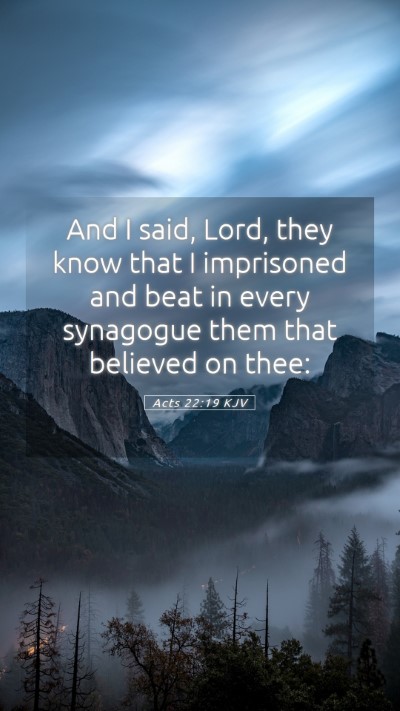 Picture 05 - Acts 22:19 KJV Mobile Phone Wallpaper - And I said, Lord, they know that I imprisoned and - Mobile Bible Verse Wallpaper