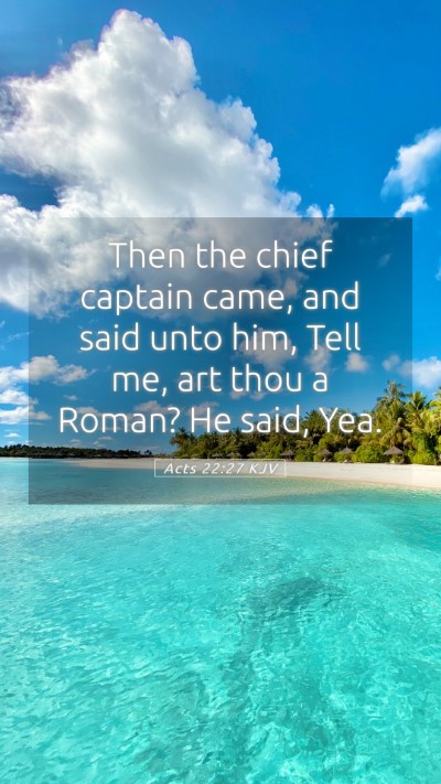 Picture 05 - Acts 22:27 KJV Mobile Phone Wallpaper - Then the chief captain came, and said unto him, - Mobile Bible Verse Wallpaper