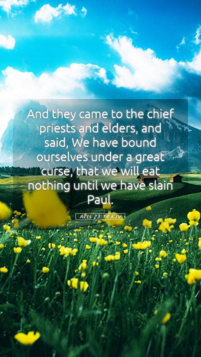 Picture 05 - Acts 23:14 KJV Mobile Phone Wallpaper - And they came to the chief priests and elders, - Mobile Bible Verse Wallpaper