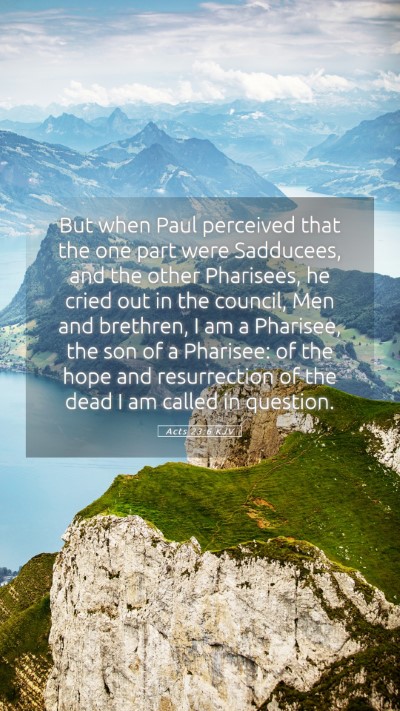Picture 05 - Acts 23:6 KJV Mobile Phone Wallpaper - But when Paul perceived that the one part were - Mobile Bible Verse Wallpaper